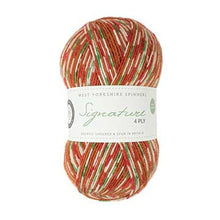 Load image into Gallery viewer, Hansel Sock Knitting Kit