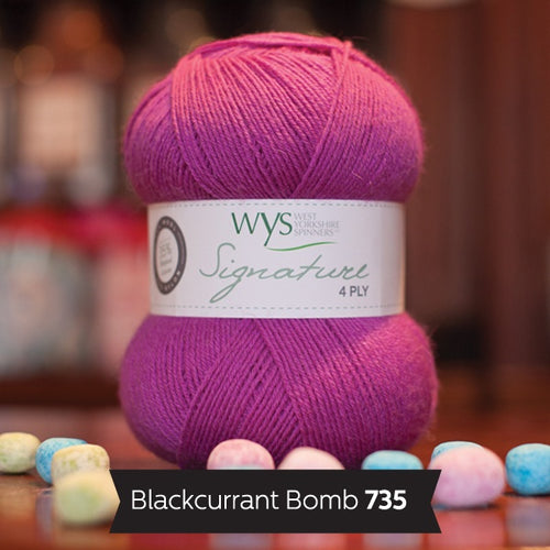 WYS Signature 4 ply yarn - Blackcurrant Bomb