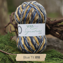 Load image into Gallery viewer, WYS Blue Tit Country Birds sock yarn