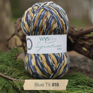 WYS Blue Tit Country Birds sock yarn