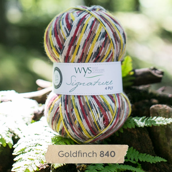 WYS Goldfinch Country Birds sock yarn