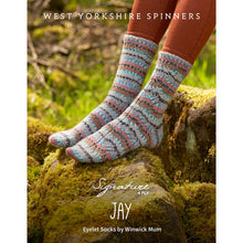 Load image into Gallery viewer, WYS Jay Eyelet Sock knitting PDF pattern by Winwick Mum
