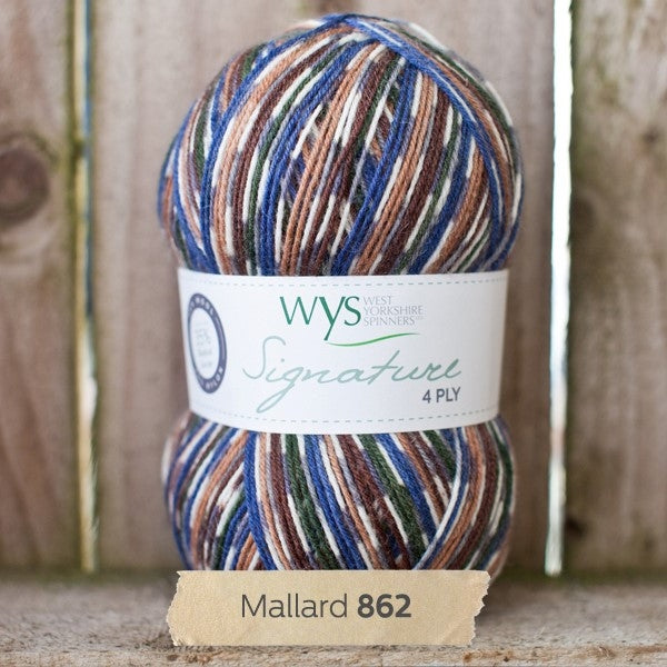 WYS Mallard Country Birds sock yarn