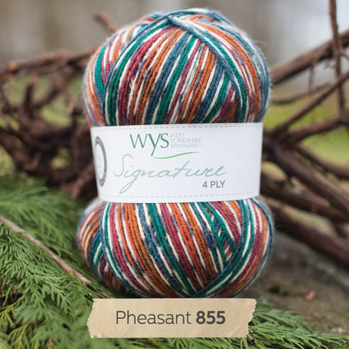 WYS Pheasant Country Bird sock yarn