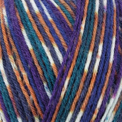 WYS Starling Country birds 4 ply Yarn