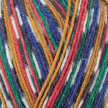 Load image into Gallery viewer, WYS Christmas Nutcracker Yarn