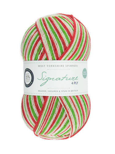 WYS 4 Ply Candy Cane yarn