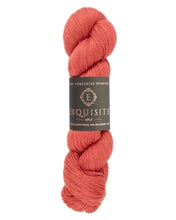 Load image into Gallery viewer, WYS Exquisite 4 ply Bloomsbury