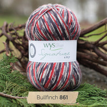 Load image into Gallery viewer, Bullfinch-WYS-sock-yarn-available-at-Eskdale-Yarns-NZ