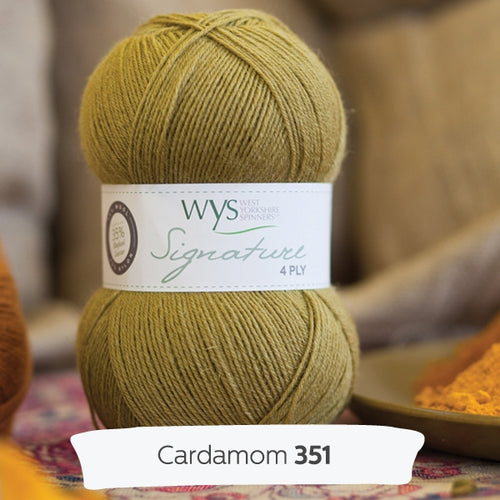 WYS 4ply sock yarn Cardamon
