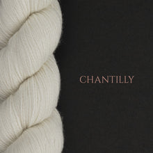 Load image into Gallery viewer, WYS-Exquisite-Chantilly-at-Eskdale-Yarns