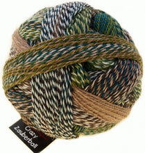 Load image into Gallery viewer, Zauberball-Crazy-2250-Jacket and Trouser-sock-yarn-at-Eskdale-Yarns