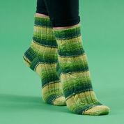 Load image into Gallery viewer, WYS Fresh Shoots sock PDF pattern at Eskdale Yarns NZ