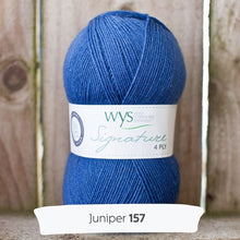 Load image into Gallery viewer, WYS Spice Rack sock yarns - Juniper