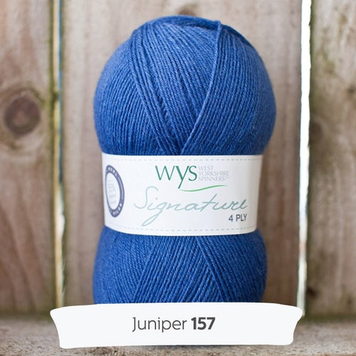 WYS Spice Rack sock yarns - Juniper