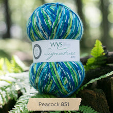 Load image into Gallery viewer, WYS Peacock Country Birds sock yarn