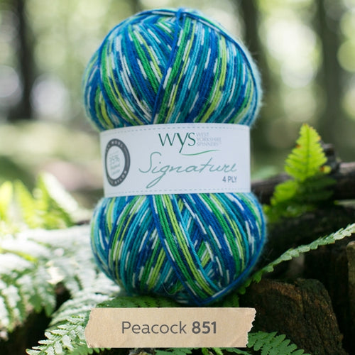 WYS Peacock Country Birds sock yarn