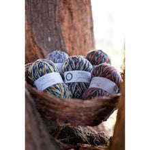 Load image into Gallery viewer, Country-Birds-WYS-sock-yarn-available-at-Eskdale-Yarns-NZ
