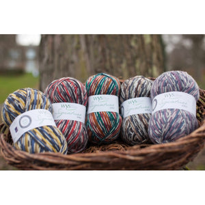 Country-Birds-WYS-sock-yarn-available-at-Eskdale-Yarns-NZ