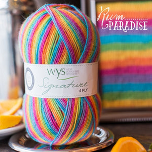 WYS Rum Paradise 4 ply sock ayrn