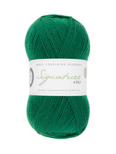 Load image into Gallery viewer, WYS Spruce 4 ply sock yarn