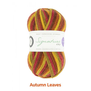 Autumn Leaves by West Yorkshire Spinners and Winwick Mum at Eskdale Yarns