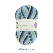 Load image into Gallery viewer, Winter Icicle by West Yorkshire Spinners and Winwick Mum at Eskdale Yarns