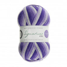 Load image into Gallery viewer, Winwick-Mum-Sock-Wool-Hidden-Gem-at-Eskdale-Yarns