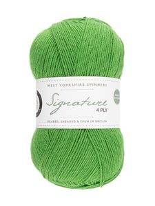 WYS Chocolate Lime 4 ply